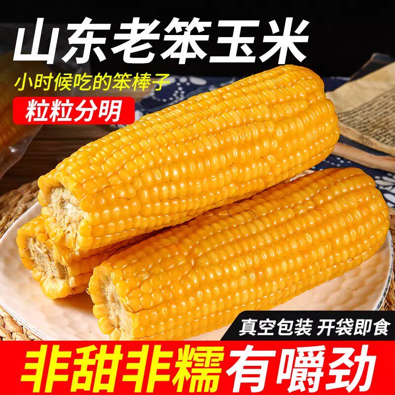 山东老式笨玉米新鲜2026传统黄玉米开袋即食有嚼劲健身代餐大棒子