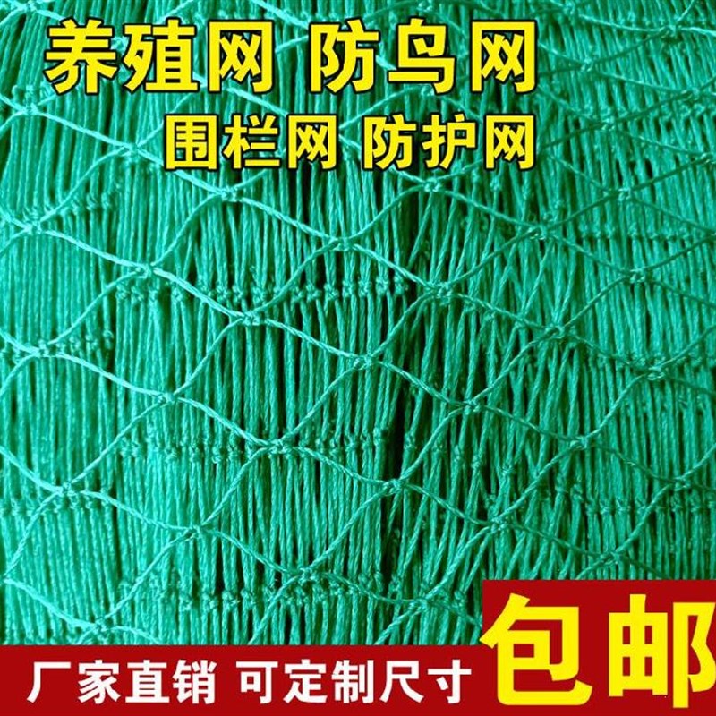 塑料尼龙网菜园网养殖网养鸡网山鸡网围栏网护栏网拦鸡网防护网