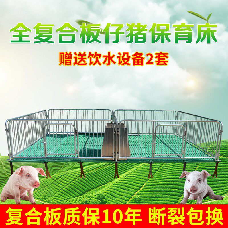 仔猪保育床漏粪板加厚复合板母猪用产床定位栏双体小猪保育栏料槽