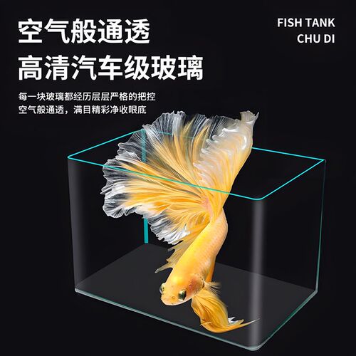 2024年新款鱼缸超清玻璃热弯桌面小型水族箱客厅水草造景乌龟生态