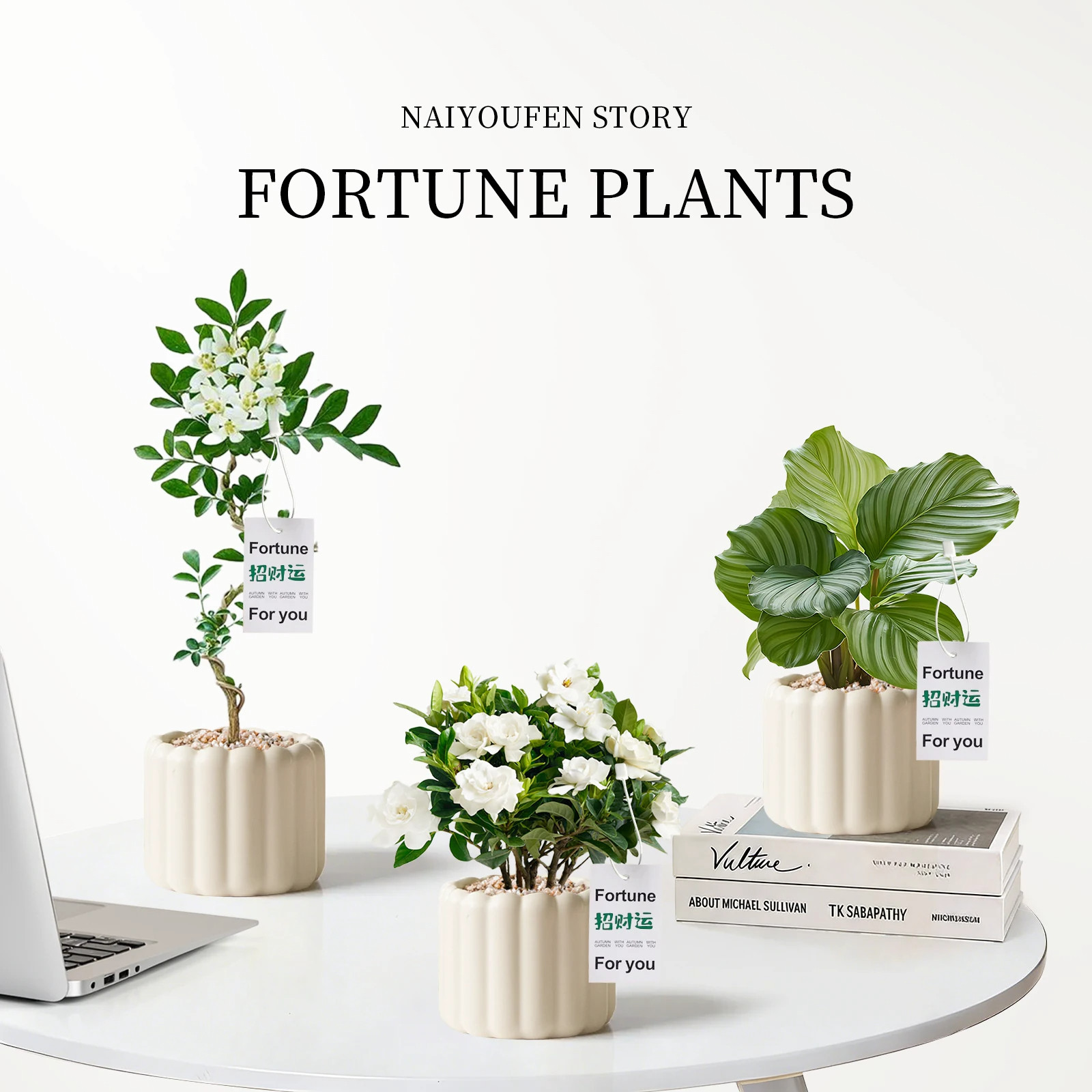 ins风桌面工位绿植盆栽