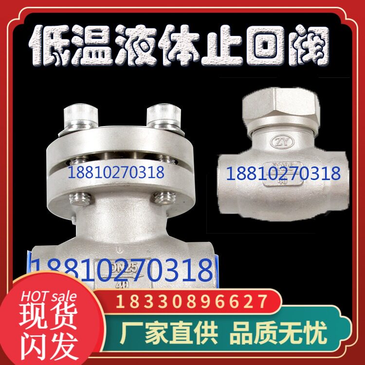 DH61F-40P低温升降式止回阀 不锈钢单向阀 液氧液氮天然气止回阀