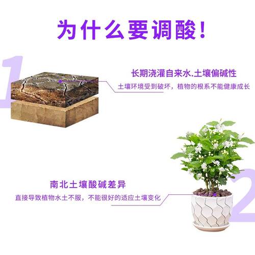 酸宝宝硫酸亚铁养花肥料喜酸植物防黄叶土壤调酸通用花园水溶肥料