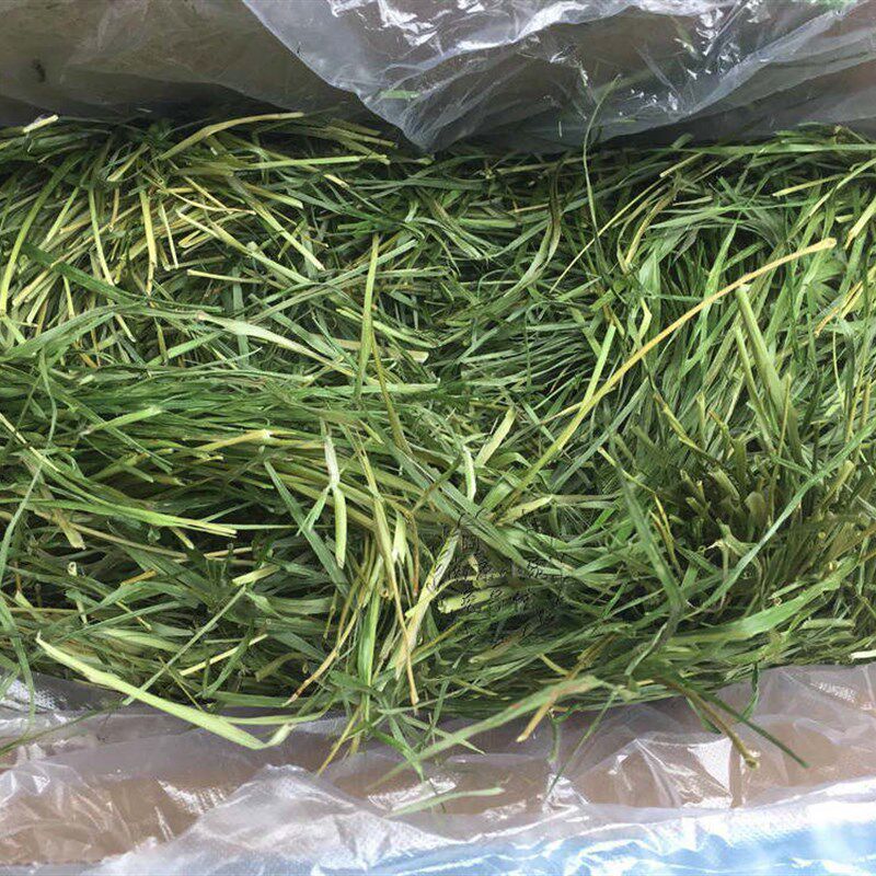 21年二茬赫尔达特级烘干提摩西草毛重1公斤箱装南提包邮10月新到