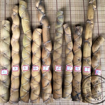 龟甲竹 6公分竹材l 人面竹 异性竹 奇形竹 竹杆 茶具 茶匙 原材料