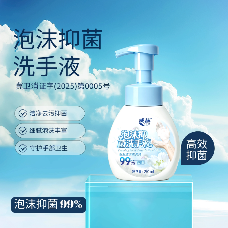 选5！5瓶威赫抑菌洗手液