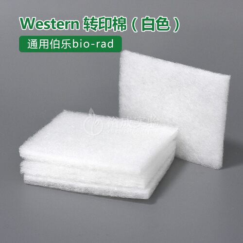 Western blot 湿转 转印海绵垫转印棉 海绵衬垫 Foam Pad 多孔垫