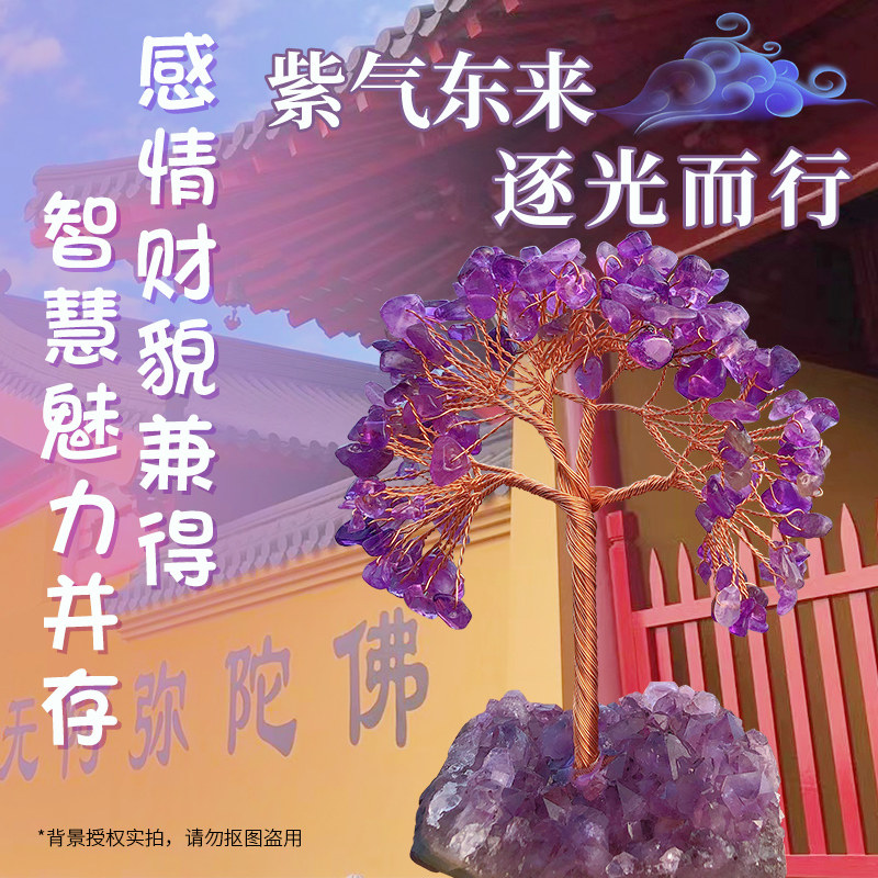 鸷山寺紫水晶紫晶簇原石晶洞紫晶树玄关写字台床头家居装饰品摆件