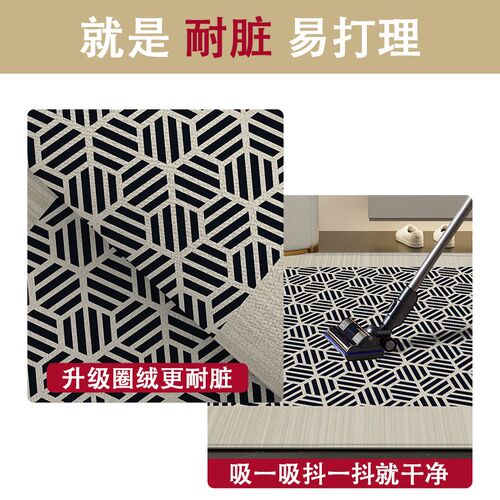 入户门地垫高级感客厅地毯卧室门口防滑耐脏脚垫家用玄关除尘门垫