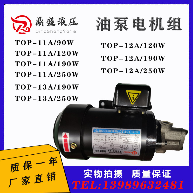 TOP11A1213A油泵电机组合三角内插式90-250W液压齿轮润滑泵摆线泵