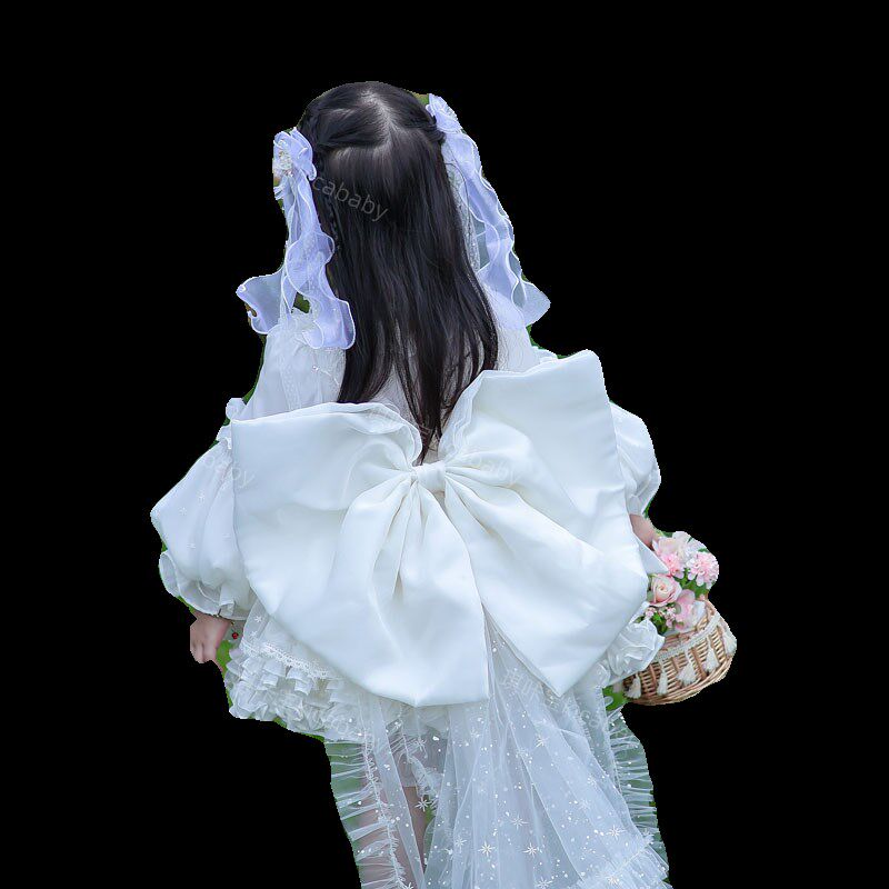 粗腿女童白色长袖连衣裙花童满天星辰婚纱公主裙周岁礼服裙蓬松裙