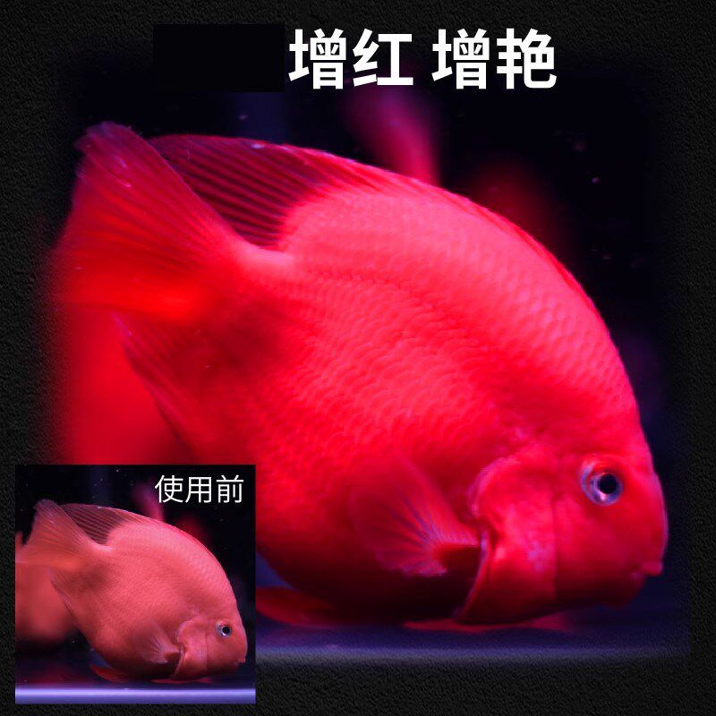 花旗鹰血鹦鹉鱼增红饲料热带鱼发财鱼食红鹦鹉鱼虾红素粮增色增艳