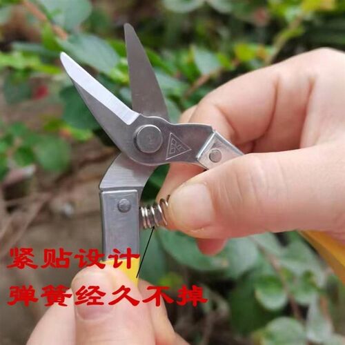 罗定小型采果剪刀采摘葡萄柑橘蔬果剪刀园林果树省力花枝修枝剪刀