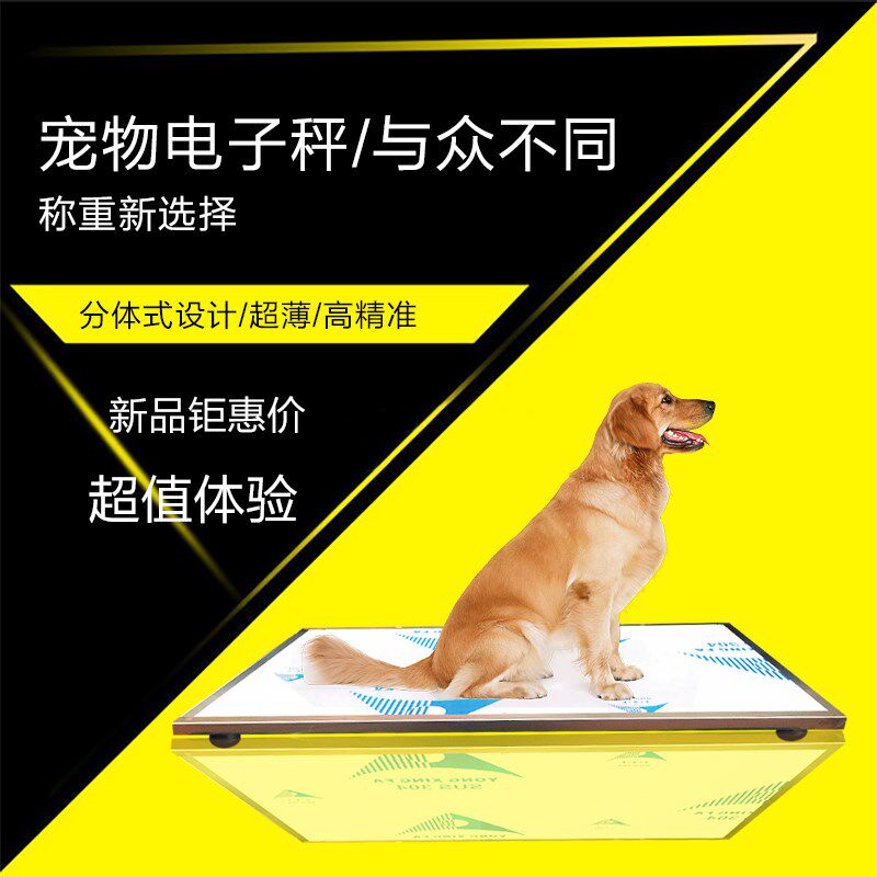 304不锈钢宠物体重秤动物电子称狗秤有线无线蓝牙落地称地磅300kg