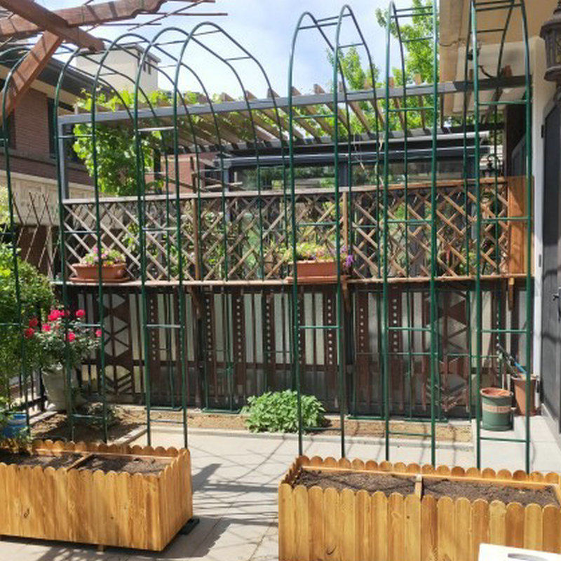 铁艺拱门植物爬藤架花架户外园艺支架葡萄月季铁线莲花园架子