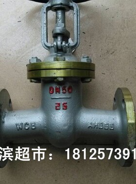 Z41H-16C/25C 铸钢法兰闸阀 蒸汽铸钢法兰闸阀 DN15 -DN300