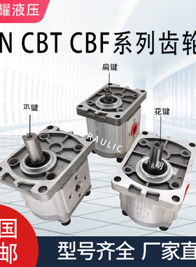 齿轮油泵 20MPa CBN-F304 CBN-F306 CBN-F310剪板机拖拉机升降台