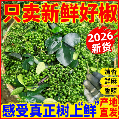 【当季新货】新鲜青花椒调味料