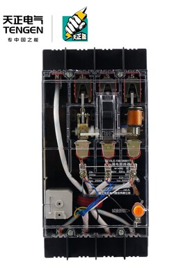 TENGEN天正DZ15LE-100/3N901T 29/3901T 100A透明漏电塑壳断路器