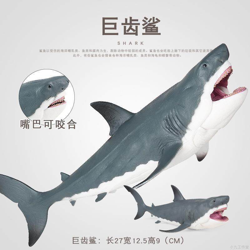 玩具鱼真海洋生物动物模型大白鲨巨齿鲨玩具电影同款儿童鲨鱼玩具