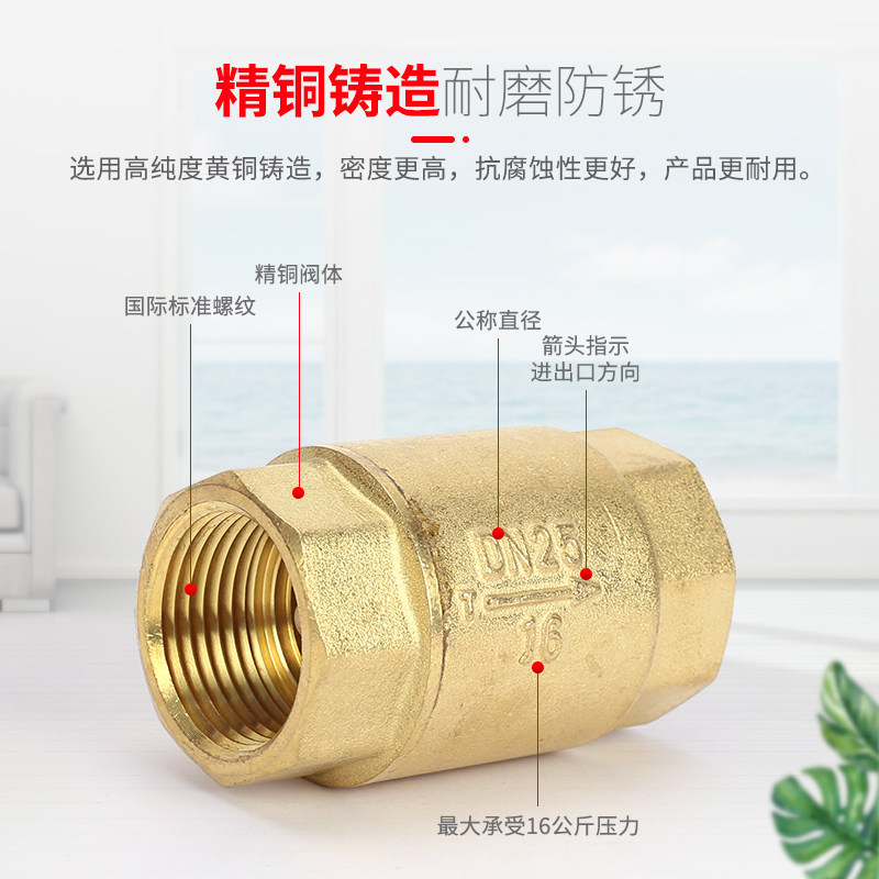 正品埃美柯止回阀4分6分1寸单向逆止阀门黄铜加厚内丝立式止回阀