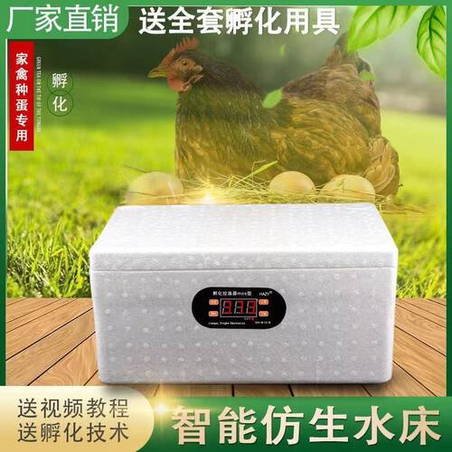 孵蛋器水床小鸡蛋芦丁孵化器小型机器家用全自动智能孵化箱孵化机