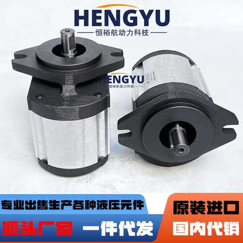 罗茨液压泵RONZIO齿轮泵03ZBG40L 03ZBG45L油泵压力高03ZAG40Q64D