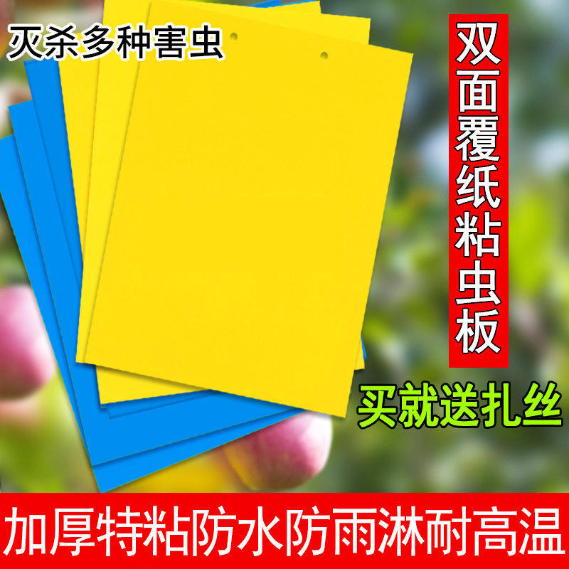 双面粘虫板黄板包邮蓝色诱虫板农业果园蔬菜大棚家用粘小黑飞蓟马