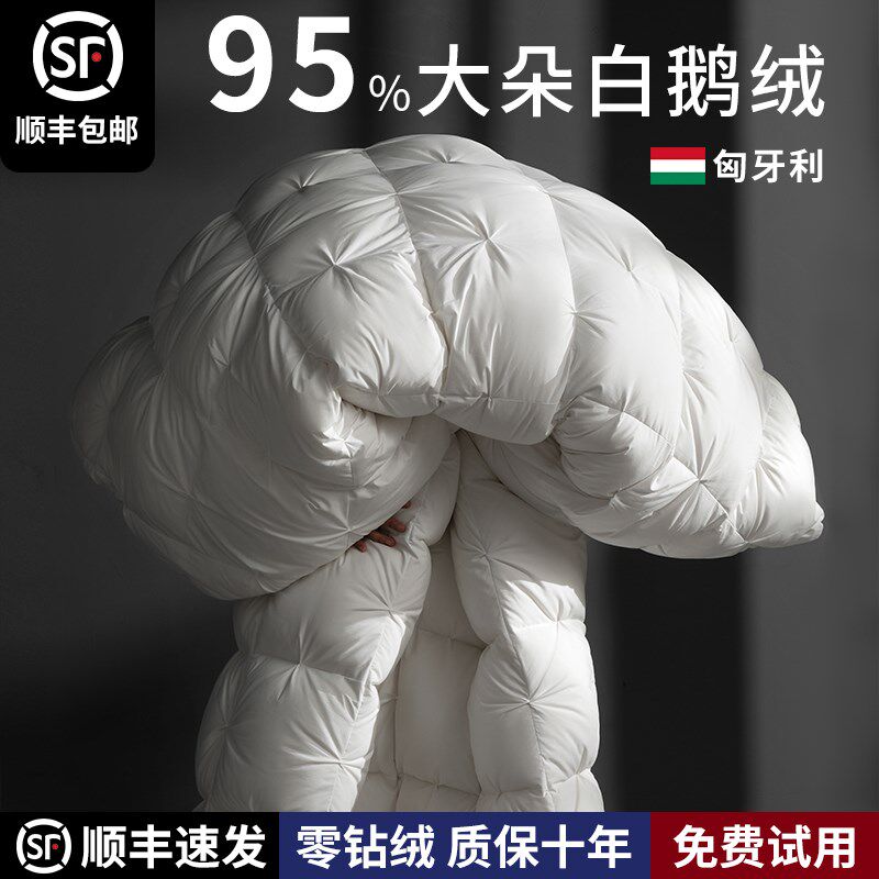 羽绒被95%白鹅绒冬被春秋被冬天加厚保暖酒店单人被Y芯被子鹅绒被