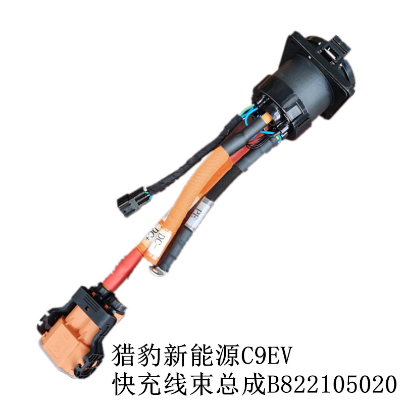 三3芯电源线插头带线国标10A/16A单头裸尾新能源电动汽车充电器枪