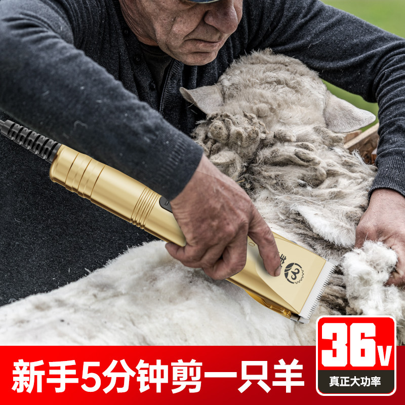 羊牌电推剪大功率剃羊毛推子电动羊毛剪绒山羊狗狗宠物剃毛器