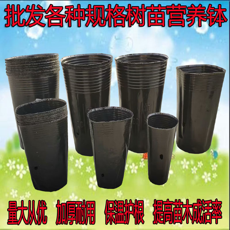 加高营养钵高桶脐橙柑橘苗方口育苗钵圆口育苗杯黑色塑料盆树苗杯