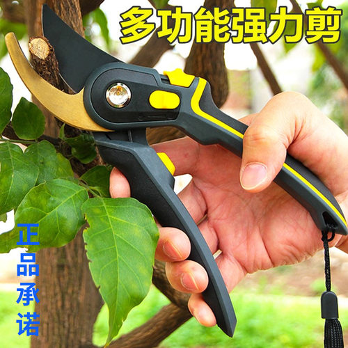 修剪树枝园林花艺剪花枝果剪刀修枝果树强力剪大粗枝省力家用剪子