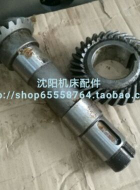 北京机床X62W XA6132 X52K螺旋伞齿轮 Z20 Z30 L230 铣床配件罗伞