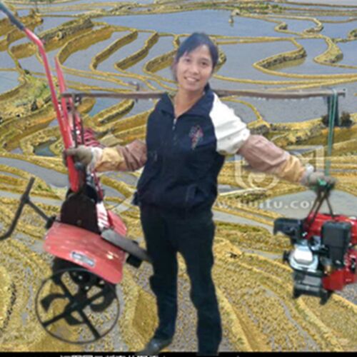 钢牛四冲程旋耕机新型微耕机田园管理机除草机小R型耕地机全齿轮