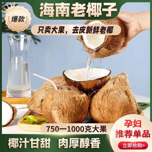 文昌大果新鲜毛椰子760-1200g