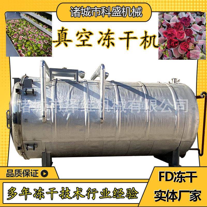 蓝莓草莓金桔真空冻干机苹果干无花果干冻干机科盛枸杞锁鲜机