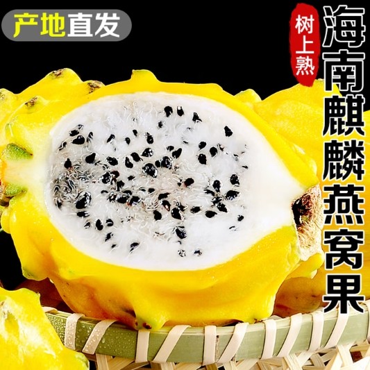 海南新鲜现摘现发燕窝果麒麟果大果礼盒送礼