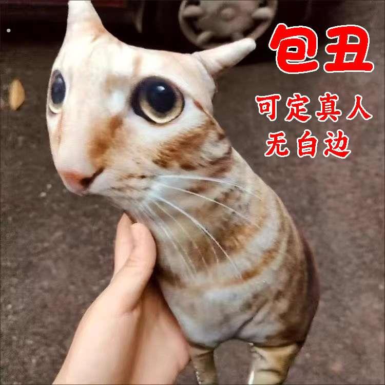 丑猫抱枕来图定制无白边异形玩偶仿真人抽象礼物猫狗宠物照片定做