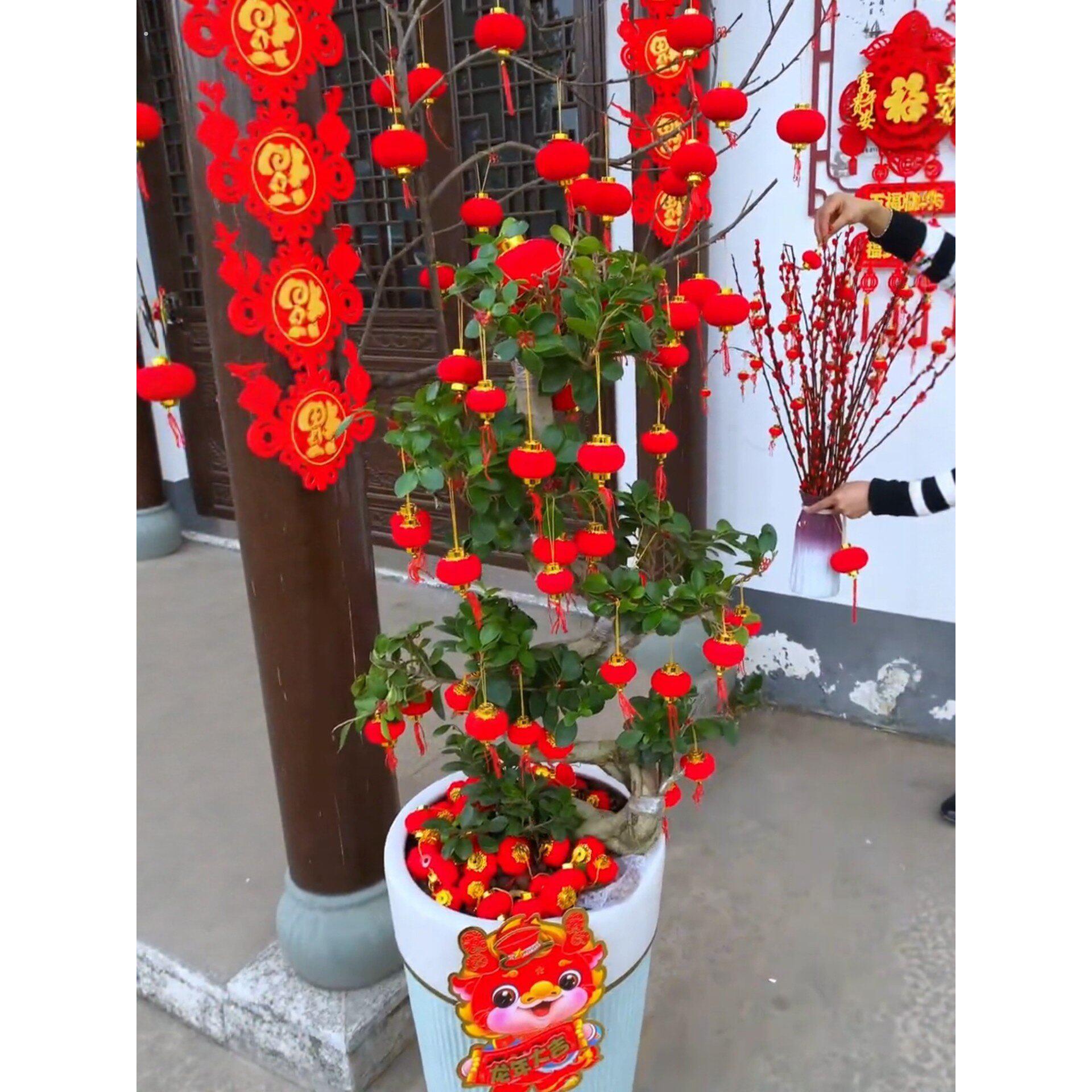 小灯笼树上挂饰绿植盆栽挂件过新年春节户外农村院子植物盆景装饰