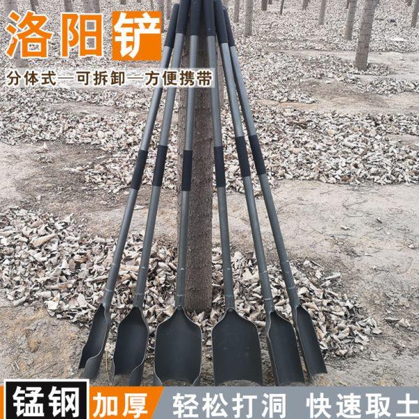 洛阳铲打洞取土挖土勘探打桩打井铁锹工具正宗挖洞落阳铲铲头锰钢