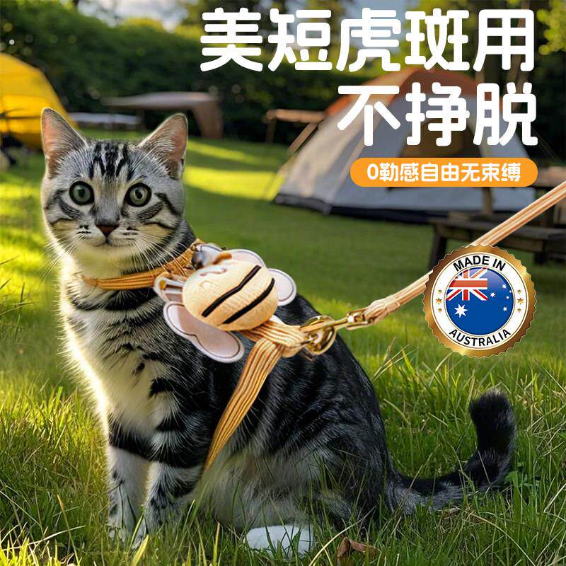 美短虎斑猫咪牵引绳防挣脱外出专用款工字型背心式遛猫绳子可调节