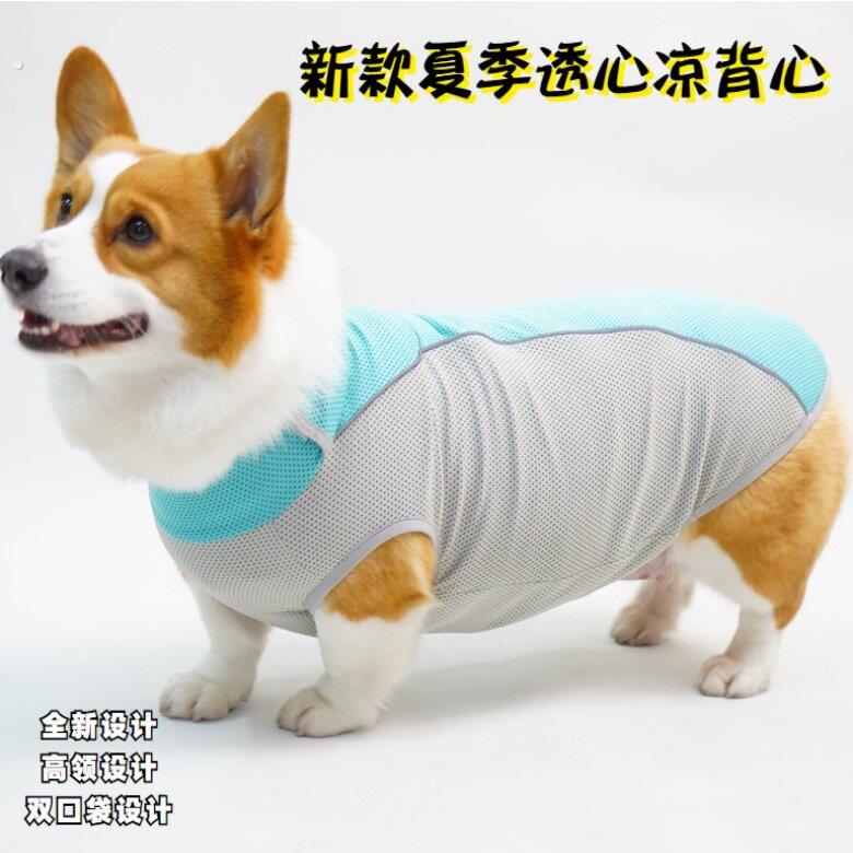 狗狗防晒背心春夏季降温清凉透气冰丝宠物凉凉衣柯基边境牧羊犬德