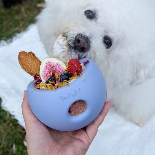 biupuff狗狗吃饭丰容碗益智慢食碗天然橡胶啃咬填食玩具大型犬