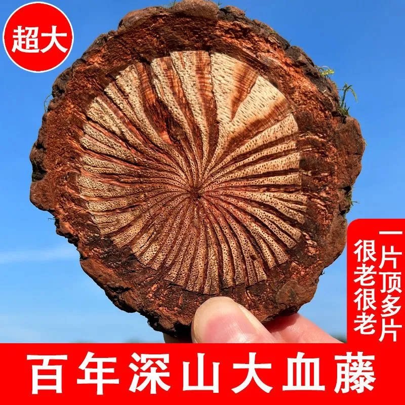 云南野生血塞通红藤大脑片