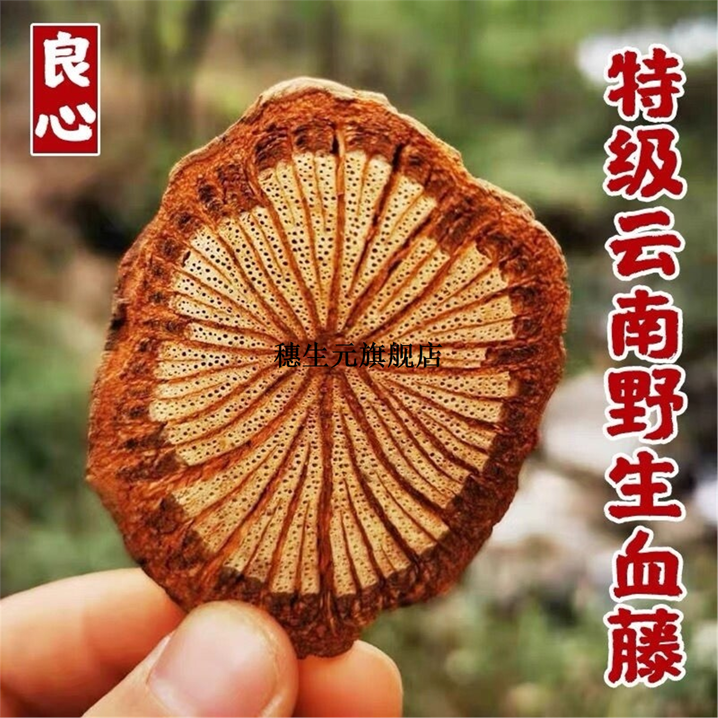 野生深山老藤血通中药新货
