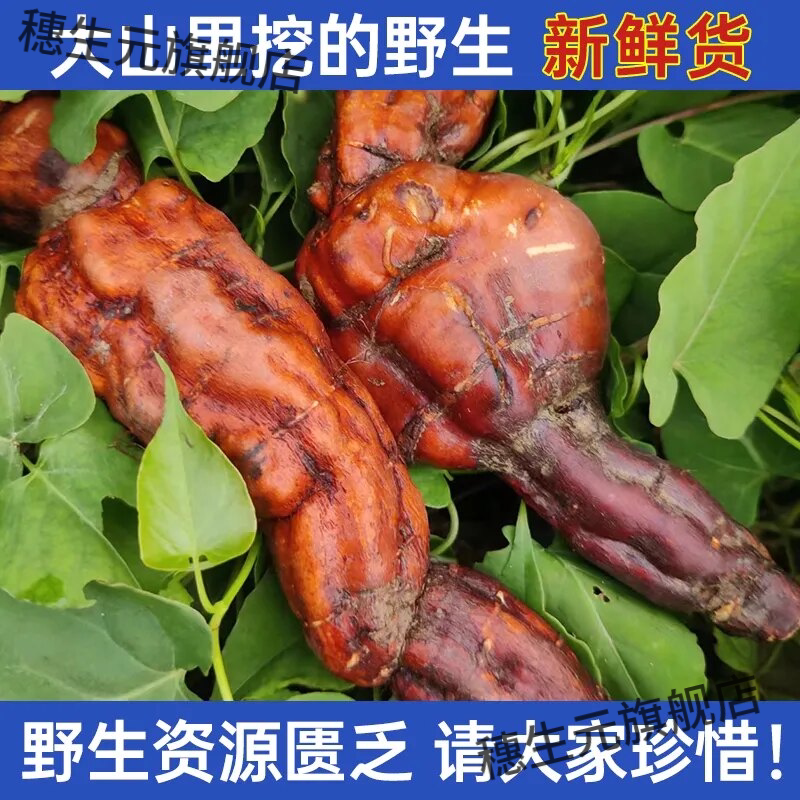 贵州野生何首乌农家自采