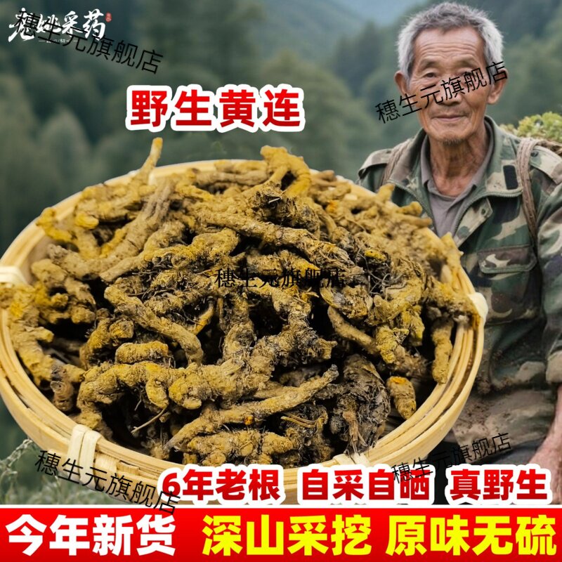 正宗云南野生黄连材莲泡水