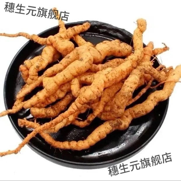 正宗焦作野生鲜活生地黄泡酒料