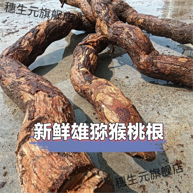 野生雄猕猴桃根老藤梨洋石